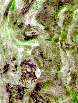 AP 171C1